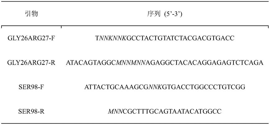 一种亲和力成熟的抗喹硫磷纳米抗体及其应用