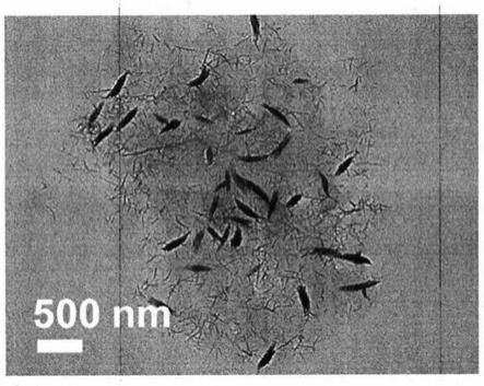 铜系纳米粒子和铁卟啉纳米片复合的纳米酶及制备与应用