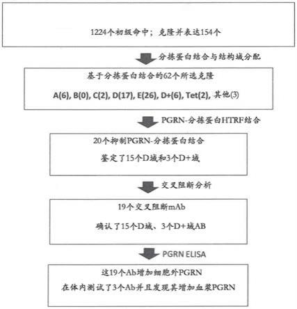 与分拣蛋白结合并抑制颗粒蛋白前体的结合的抗体的制作方法