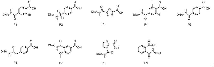 一种醛基氧化合成寡聚核酸-芳香羧酸的方法与流程