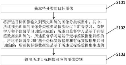 一种图像分类方法、装置、存储介质及终端与流程