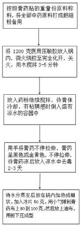 一种治疗股骨头坏死及肩颈腰腿疼的膏药贴及制备方法与流程