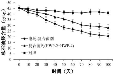 一种微生物复合菌剂及其制备方法和应用