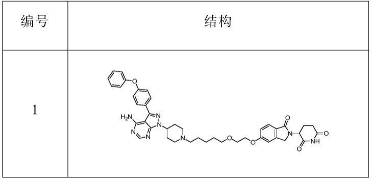 靶向降解Btk的化合物及其抗肿瘤用途的制作方法