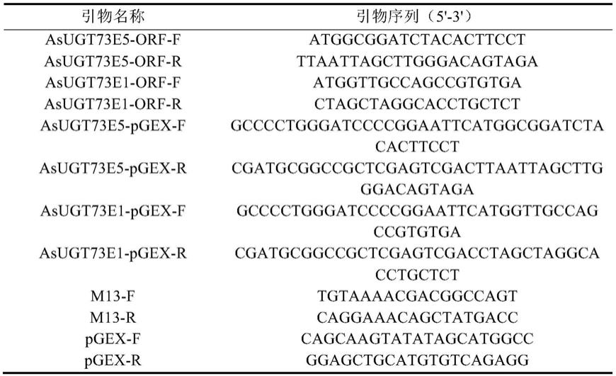 燕麦糖基转移酶AsUGT73E5及其在甾体皂苷合成中的应用