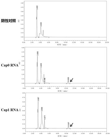 一种检测mRNA2的制作方法