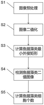 一种基于显微镜图像的鱼腥藻类细胞统计方法与流程