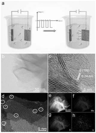 一种铀负载二硫化钼纳米片在电催化碱性析氢反应中的应用
