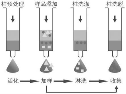 一种能同时检测人体尿液中多种抗生素的分析方法