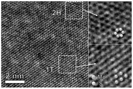 一种可调相组成具有大层间距的二硫化钼催化剂及其制备方法和应用