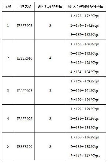 一种用于鉴定金耳ZJJE001菌种的SSR分子标记及方法与流程