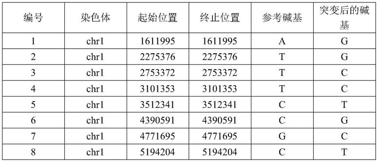 一种用于筛选SNP位点的方法及其应用与流程