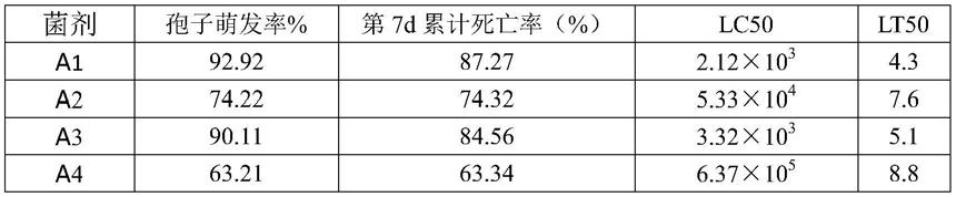 一株用于防治玉米螟的生防菌株及其应用和玉米螟防治菌剂