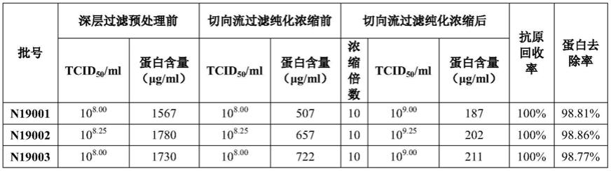 一种猪急性腹泻综合征冠状病毒抗原的纯化浓缩方法与流程