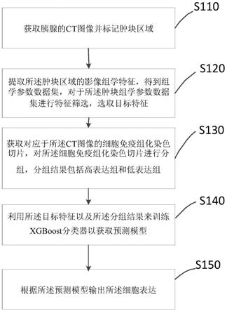 预测胰腺癌微环境中细胞表达的方法、电子设备、介质及系统