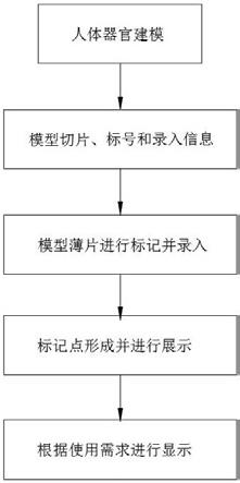 一种用于显示人体器官的三维医学模型内部标记点方法与流程