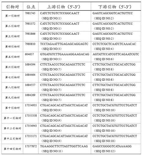 与湖羊的褪黑素性状相关的SNP标记及其应用