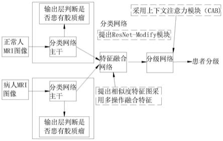 一种基于相似度特征图的弱监督自动诊断和分级系统的制作方法