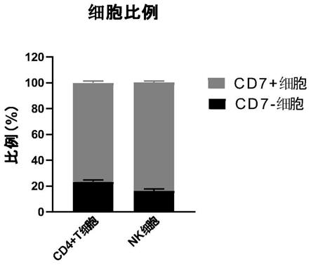 靶向CD7的嵌合抗原受体及其用途的制作方法