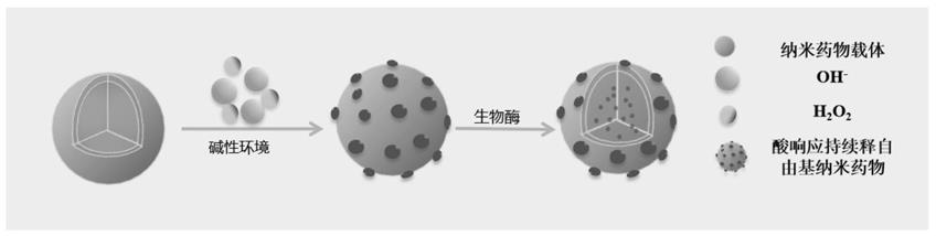 一种酸响应持续释放羟基自由基、单线态氧的纳米药物及其制备方法与应用