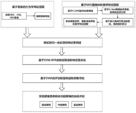 一种基于多源特征的腰痛患者肢体功能障碍自动评估方法