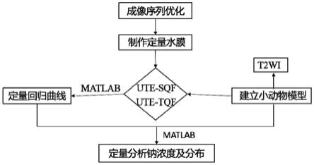 基于多核素磁共振成像定量检测肺癌