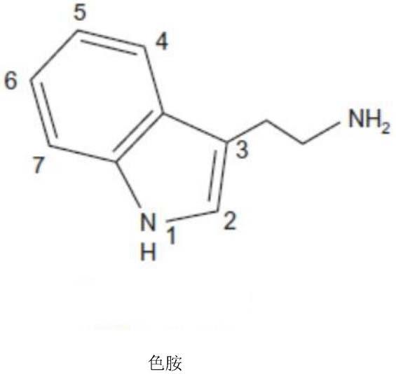 用于治疗抑郁症的5-甲氧基-N,N-二甲基色胺(5-MEO-DMT)的制作方法