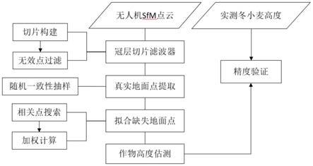 基于点云数据的地面点拟合、作物高度提取的方法及系统