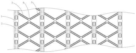 颈动脉3D打印可降解支架的制作方法