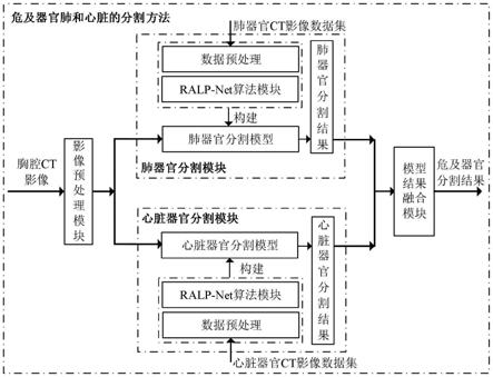 一种肺癌放疗危及器官肺和心脏的自动分割方法与流程