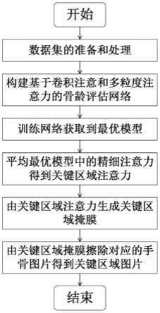 基于卷积神经网络和多粒度注意力的手骨关键性区域获取方法与流程