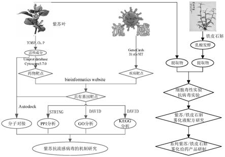 一种预防治疗流感的雾化液及其制备方法和给药方法与流程