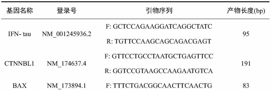 用于牛体外胚胎生产的高效玻璃化冷冻方法