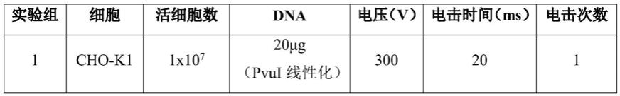 一种多核苷酸、载体元件及表达载体和宿主细胞及应用的制作方法