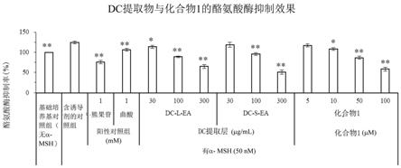 大豆间座壳菌提取物用于抗紫外线伤害及减少色素沉着的用途的制作方法