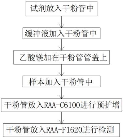 一种基于荧光检测的多酶恒温核酸快速扩增试剂及应用的制作方法