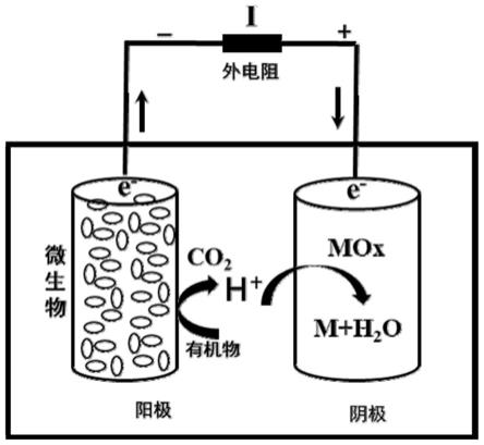 微生物燃料电池阴极、制备方法及其应用