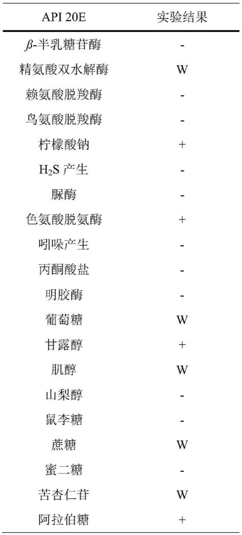 一株运动特里顿杆菌及其应用的制作方法