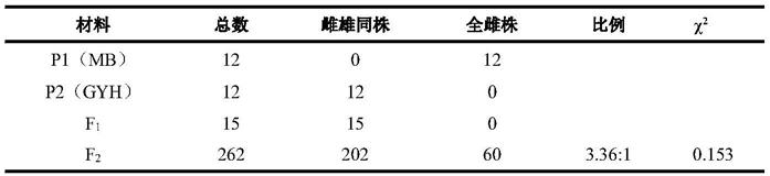 一种与苦瓜全雌性相关的KASP分子标记及其应用