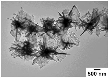 超薄纳米片构建Au-Pd微米花的制备方法及应用