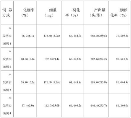 一种以牧草为食料大量饲养草地贪夜蛾的方法