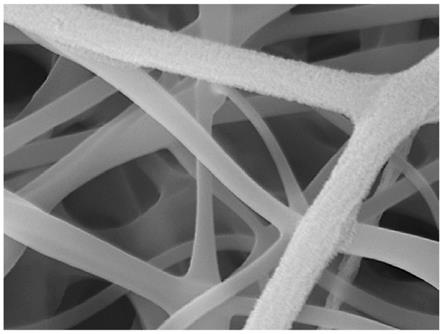 毛毡状纤维交织结构图片