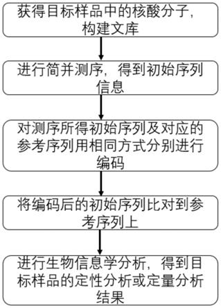 一种通过简并测序对目标样品定性分析或定量分析的方法与流程