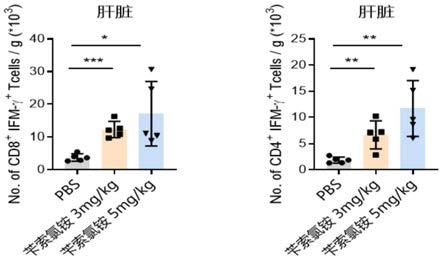 苄索氯铵在制备抑制结直肠癌转移药物方面的应用