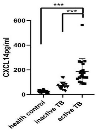 CXCL14作为生物标志物在结核病诊断中的用途