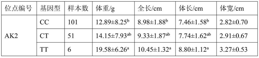 一种与黑鲷生长性状相关的SNP分子标记及其应用的制作方法