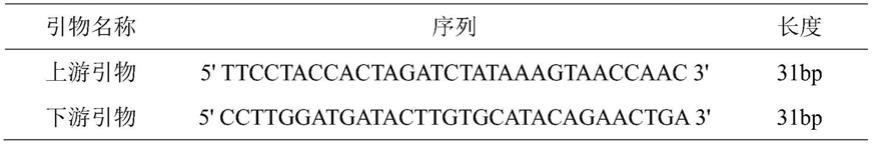 与抗甲状腺药物引起的粒细胞缺乏相关的MUC22基因突变位点及其应用