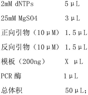 一种抗沙丁胺醇和/或克伦特罗单克隆抗体和应用