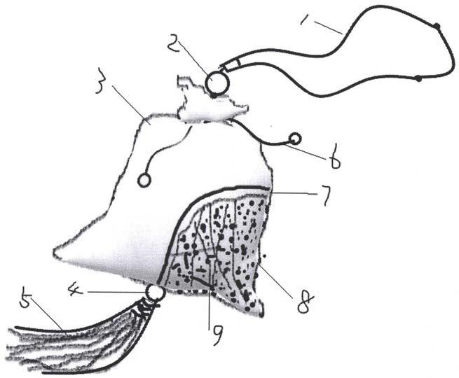 香包设计草图图片