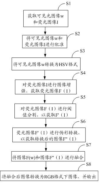 一种内窥镜荧光与可见光图像融合方法